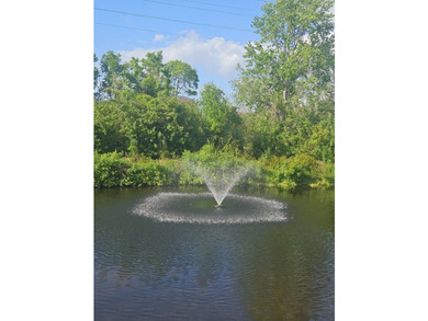 Dont miss this opportunity on a beautiful 3 bedroom 2 bath home - photo 45