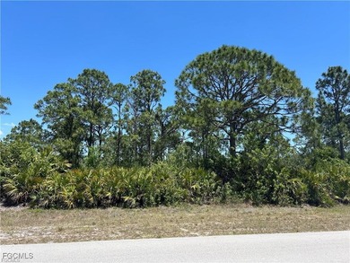 Lehigh Acres Area Lot For Sale in Lehigh Acres Florida
