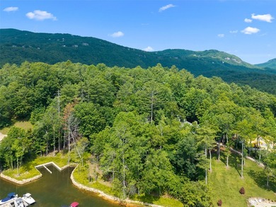 Two adjoining lake front lots on beautiful Lake Toxaway - photo 11