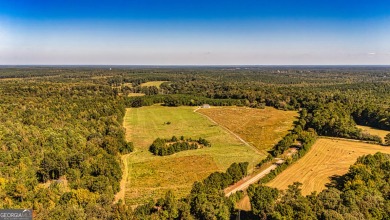 Lake Acreage For Sale in Greenville, Georgia