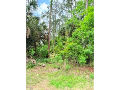Prime oversized homesite in the heart of Palm Coast! Nearly 15 - photo 2