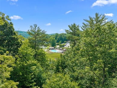 Two adjoining lake front lots on beautiful Lake Toxaway - photo 13