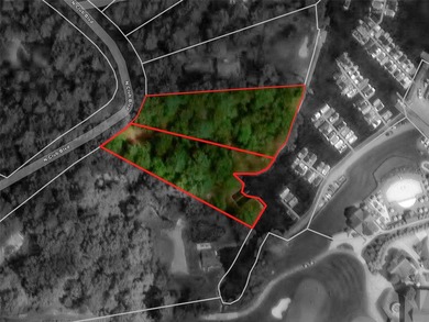 Two adjoining lake front lots on beautiful Lake Toxaway - photo 14
