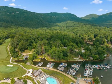 Two adjoining lake front lots on beautiful Lake Toxaway - photo 15