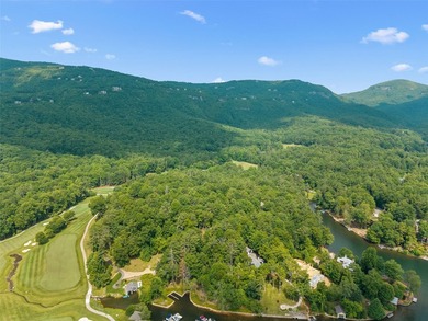 Two adjoining lake front lots on beautiful Lake Toxaway - photo 17
