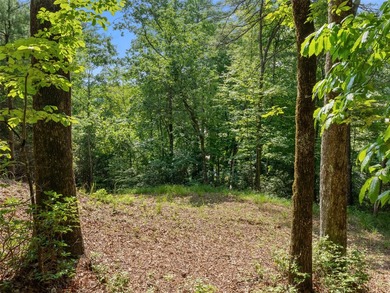 Two adjoining lake front lots on beautiful Lake Toxaway - photo 19