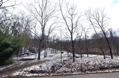 (private lake, pond, creek) Acreage For Sale in Glenville West Virginia