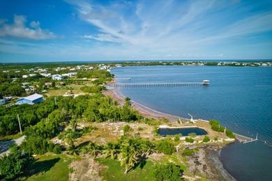 An ultra rare opportunity awaits on Big Pine Key. Spanning 2.29 - photo 10