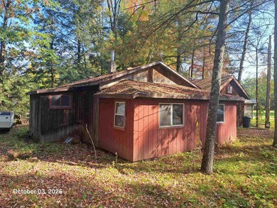 Chute Pond Home For Sale in Suring Wisconsin