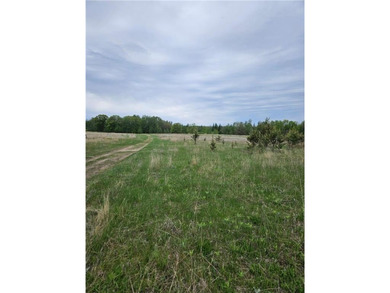 (private lake, pond, creek) Acreage For Sale in Sylvan Twp Minnesota