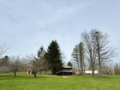 Lake Home Sale Pending in Kaleva, Michigan