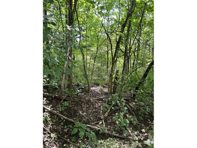 (private lake, pond, creek) Acreage For Sale in Frankfort Kentucky