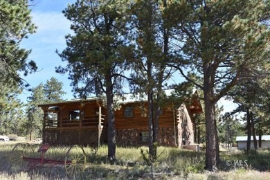 Lake Home For Sale in Westcliffe, Colorado