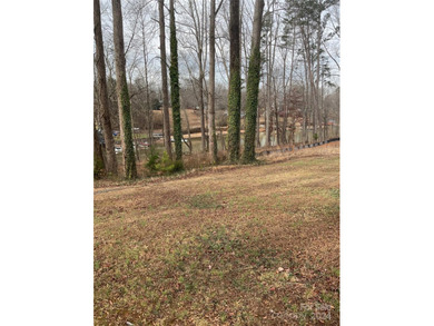 New offering of gated access waterfront cove lot on Lake Norman - photo 8