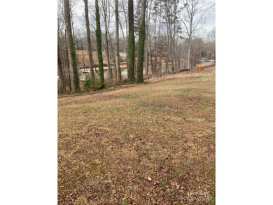 New offering of gated access waterfront cove lot on Lake Norman - photo 9