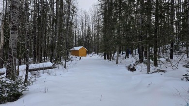 Lake Lot For Sale in Orr, Minnesota