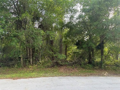 Don't miss this rare opportunity to own a premium, dry lot - photo 1