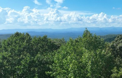 Lake Lot For Sale in Ellijay, Georgia