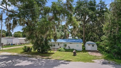 Lake Panasoffkee Home For Sale in Lake Panasoffkee Florida