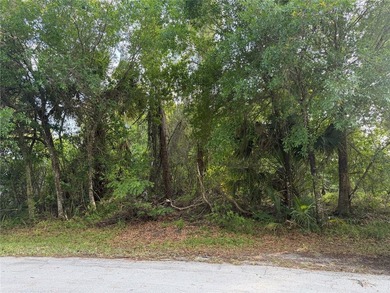 Don't miss this rare opportunity to own a premium, dry lot - photo 4