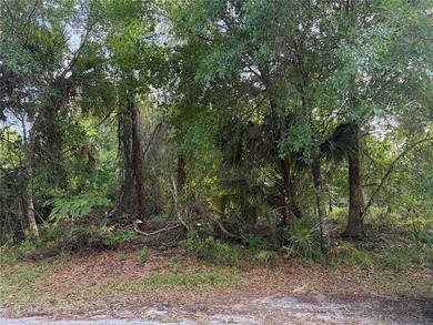 Don't miss this rare opportunity to own a premium, dry lot - photo 5