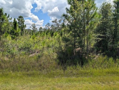 Lake Lot For Sale in Indian Lake Estates, Florida