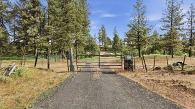 Long-time family legacy property available for purchase outside - photo 4