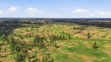 Long-time family legacy property available for purchase outside - photo 8