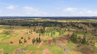 Long-time family legacy property available for purchase outside - photo 9
