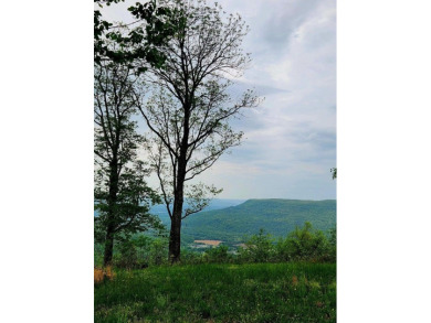 Lake Lot For Sale in Jasper, Tennessee