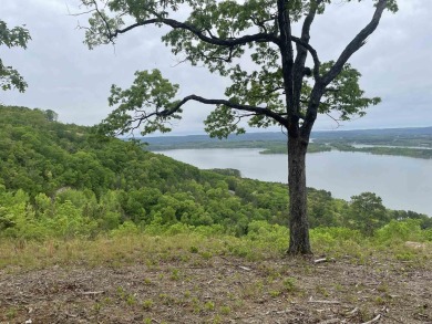 Lake Acreage For Sale in Quitman, Arkansas