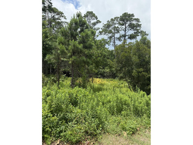 New River - Onslow County Lot For Sale in Sneads Ferry North Carolina