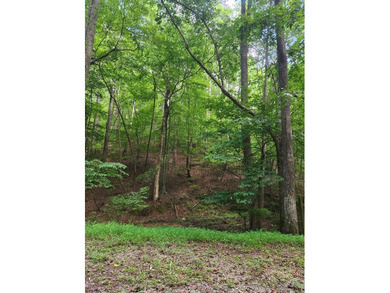 Coosawattee River - Gilmer County Lot For Sale in Ellijay Georgia