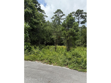 Bring your builder and your vision to Escoba Bay! Over 1/4 acre - photo 3