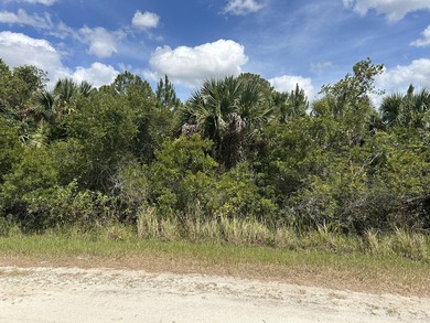 Build your dream home!!! This vastly growing area offers this - photo 1