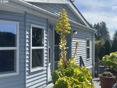 This beautiful doublewide manufactured home in a quiet family - photo 1