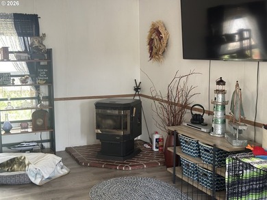 This beautiful doublewide manufactured home in a quiet family - photo 10