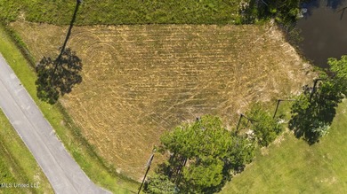Beautiful waterfront lot with deep water access located just - photo 1
