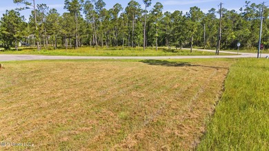 Beautiful waterfront lot with deep water access located just - photo 8