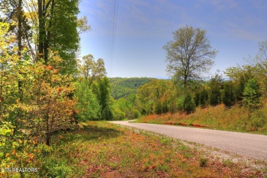 Norris Lake Acreage For Sale in Speedwell Tennessee