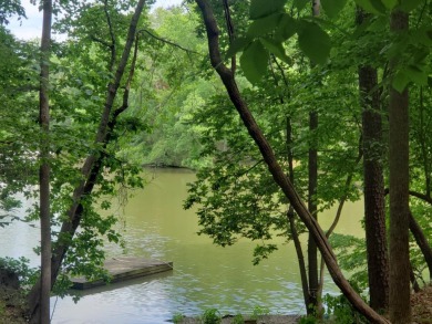 Lake Acreage For Sale in Moneta, Virginia