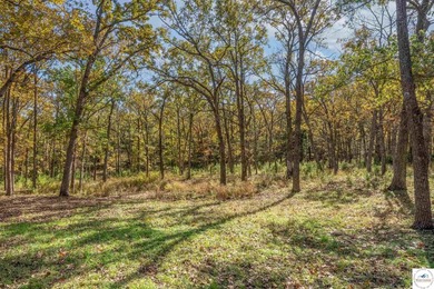 Escape to the peace and tranquility of this charming 3-bedroom - photo 42