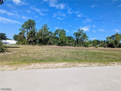 Within WALKING DISTANCE to the new Gator Trails Park, you'll - photo 5