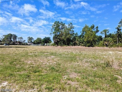 Within WALKING DISTANCE to the new Gator Trails Park, you'll - photo 7