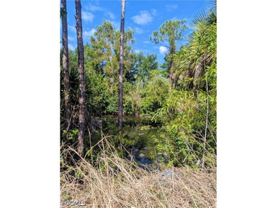 Within WALKING DISTANCE to the new Gator Trails Park, you'll - photo 8
