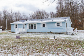 Swan Lake - Allegan County Home For Sale in Allegan Michigan