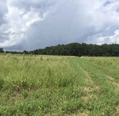 Intracoastal Waterway - Horry County Acreage For Sale in North Myrtle Beach South Carolina