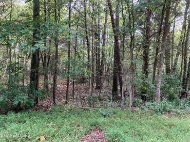 Douglas Lake Lot For Sale in Baneberry Tennessee
