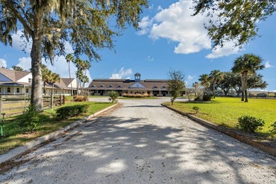 Set atop the high, rolling elevations of Dade City, Sheik Island - photo 3