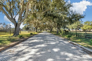 Set atop the high, rolling elevations of Dade City, Sheik Island - photo 4